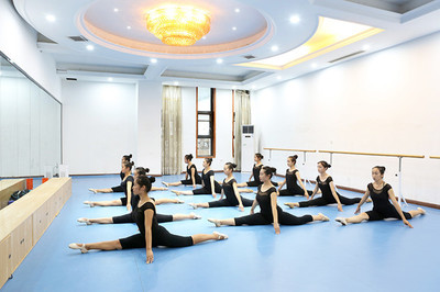 舞蹈艺考备考全攻略与机构选择指南